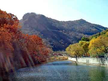 澳门二四六天天彩图库，岳阳seo营销